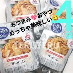 牛せん GYUSEN 法善寺あられ 30g４袋 塩＆ガーリック 牛肉 おつまみ