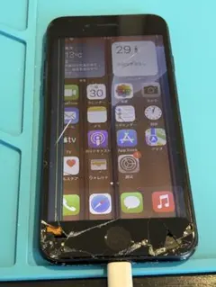 Item thumbnail for item 51d92ff2-815a-40f8-b1ab-053f7363507e