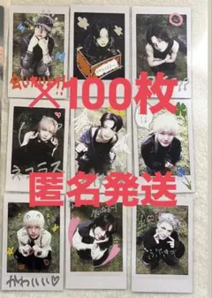 &TEAM Back to Life BtL インスタントフォトカード 900枚