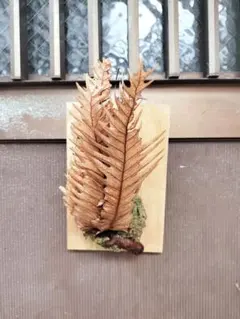 2025年最新】リギデュラの人気アイテム - メルカリ