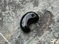 青森産　黒曜石勾玉　錦石