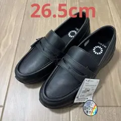 Item thumbnail for item 8fc6769c-b659-4f20-b4ea-3700cb4f5aca