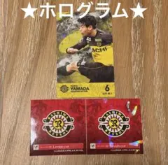 レイソル スポーツカード