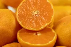 ハウスみかん！サイズ不揃い約5Kg【訳あり】のサムネイル
