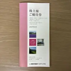 東急不動産ホールディングス　株主様ご優待券