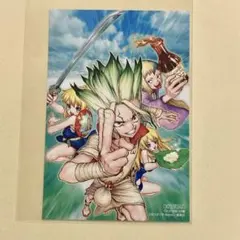 Dr.STONE 18巻　特典　ポストカード　イラストカード　アニメイト