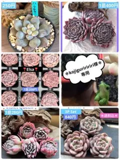 kojiguriririri様 リクエスト 7点 まとめ商品