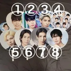 【ラウールうちわ】サマパラ+④以外