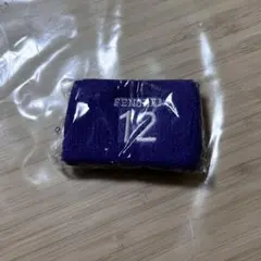 許豊凡　リストバンド