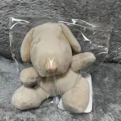 ★スヌーピー ボールチェーン付きマスコット★