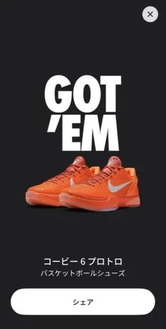 コービー 6 プロトロ バスケットボールシューズ