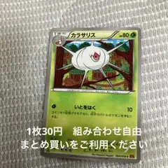カラサリス　在庫1