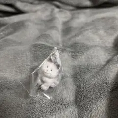 べびわんこ2 ハスキー