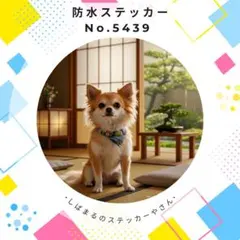 【送料無料❣️】チワワ防水ステッカー 和風