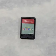 あつまれ どうぶつの森 Nintendo Switch