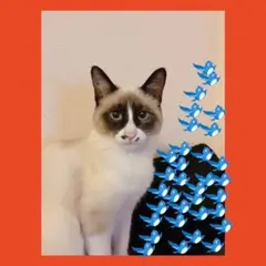 マハロ様！専用