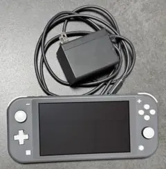 Nintendo Switch Lite グレー ACアダプター付き