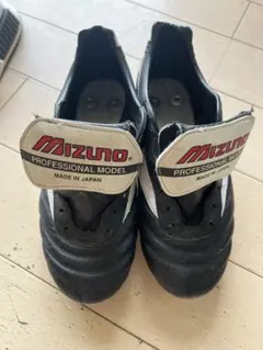 モレリアII ブラック×ホワイト 取り替え式