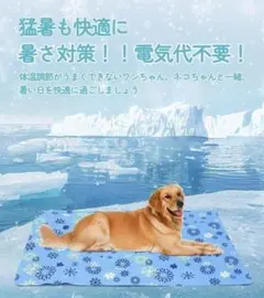 Item thumbnail for item 4a957a72-f396-4a27-9ac0-148a3efb2df6