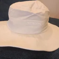 Item thumbnail for item eb862023-52cb-45e7-88bd-147e3528ab76