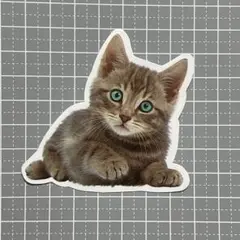 ユリ様 リクエスト 3点 まとめ商品