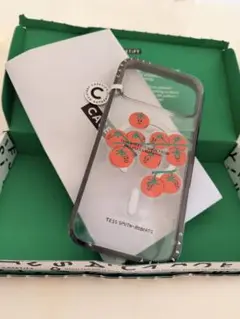 casetify iphone17promax