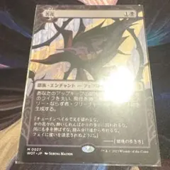 【まとめ買い200割引】苦花 ボーダーレス 日本語