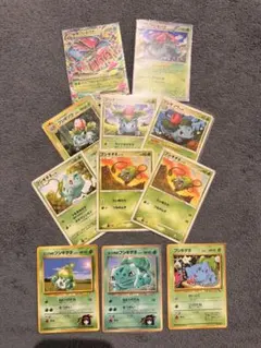 9枚セット】旧裏 エリカのフシギダネ月刊 コロコロコミック98年12月号