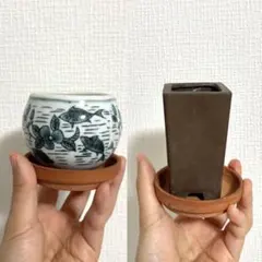 2026年最新】盆栽鉢中古の人気アイテム - メルカリ