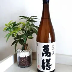 2026年最新】万膳酒造の人気アイテム - メルカリ