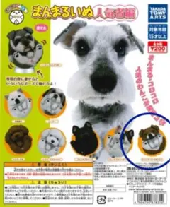 2025年最新】まんまるいぬの人気アイテム - メルカリ