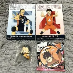 ハイキュー!! 西谷夕＆田中龍之介セットみんなの背番号！おねむたん他