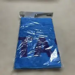 最終値下げ‼️VICTAS スポーツタオル ターコイズ