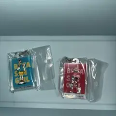 coalowl アクリルブロックチャーム　デザインA＆B