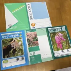 Item thumbnail for item f9c3f350-f89e-4160-a2e5-7a9fa165f0b6