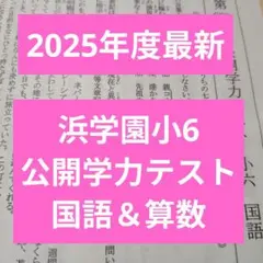 2026年最新】浜学園 小6 公開の人気アイテム - メルカリ