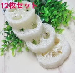 あそべる 輪切り 小動物 おもちゃ ハムスター うさぎ モルモット チンチラのサムネイル