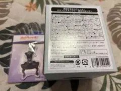 ホロウィッチ 紫咲シオンセット キーホルダー ステンレスタンブラー コミケ104