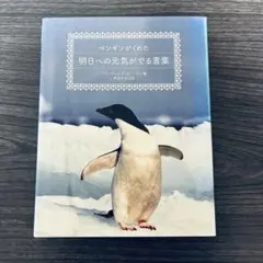 ペンギンがくれた明日への元気がでる言葉