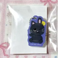 RIIZE 東京ドーム　ランダムトイ　マグネットアクリルチャーム　ウォンビン　L