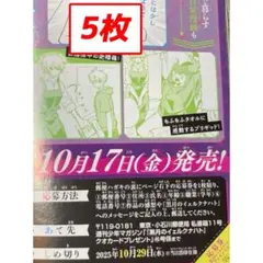 【ゆうゆう便】週刊少年マガジン45号 黒月のイェルクナハト 5枚
