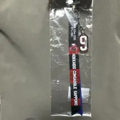 北海道コンサドーレ札幌 ボンフィン ジョルディ・サンチェス