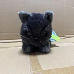 吉徳　ぬいぐるみ　こねこ　チャコール 猫