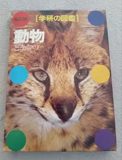 Item thumbnail for item 5e506755-bf2e-4858-94cf-d021d5771d16