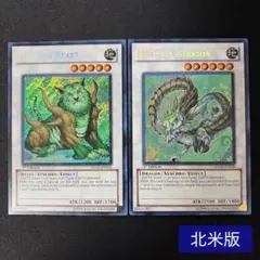 【北米版】ナチュル・ビースト ナチュル・パルキオン 英語 1st HA02 2枚