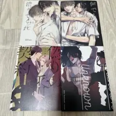 BL漫画まとめ売り4冊セット