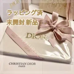ダブルリボン包装 DIOR 激レア入手困難 ༘*⋆ メタルロゴ クラッチ ポーチ
