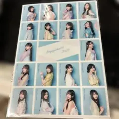 乃木坂46 2026年 A4 クリアファイル　新品