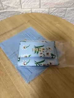 FEILER フィラー　マルチケース 水色 付録