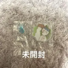 ちいかわ　シャカシャカチャーム
